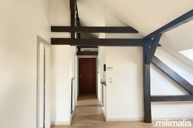 Charmant T3 en dernier étage